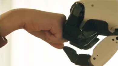 Robot Pelayan Rumah (LG CLOiD): Inovasi Pelayanan Rumah Tangga Modern